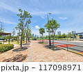 青空が広がる公園 117098971