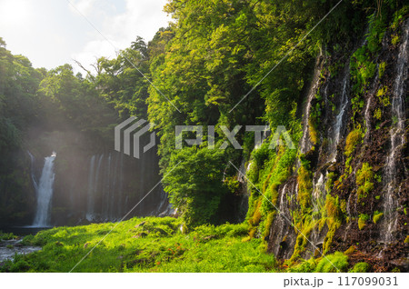 富士宮の名瀑　白糸の滝 117099031