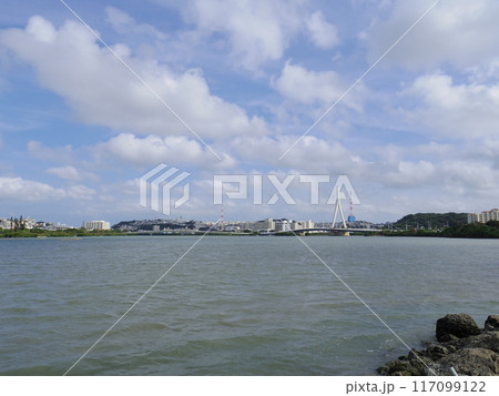 漫湖(沖縄県那覇市) 117099122
