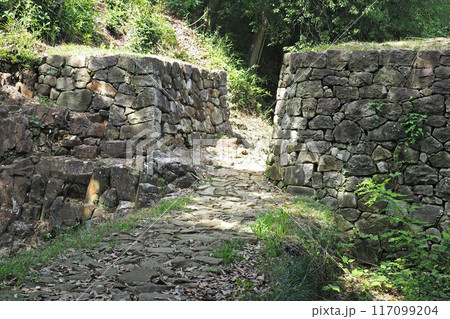金山城跡の物見台下虎口【群馬県太田市】 117099204