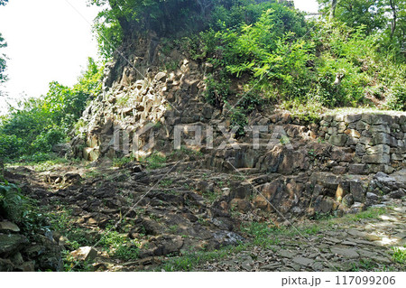 金山城跡の堀切【群馬県太田市】 金山城跡の堀切【群馬県太田市】 117099206