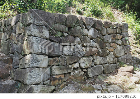 金山城跡の物見台下虎口【群馬県太田市】 117099210