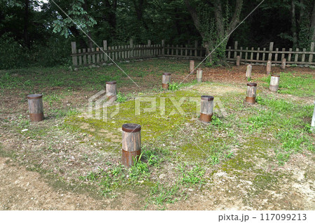 金山城跡の馬場曲輪【群馬県太田市】 117099213