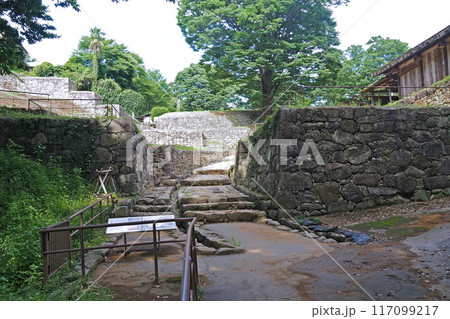 金山城跡の大手虎口【群馬県太田市】 117099217