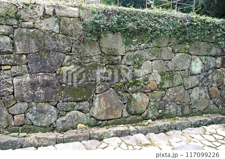 金山城跡の大手虎口【群馬県太田市】 117099226