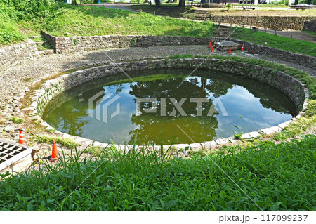 金山城跡の日の池【群馬県太田市】 117099237