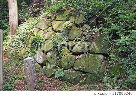 金山城跡の本丸の残存石垣【群馬県太田市】 117099240