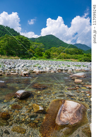 夏の山景色　日本の清流　綺麗な川 117099248