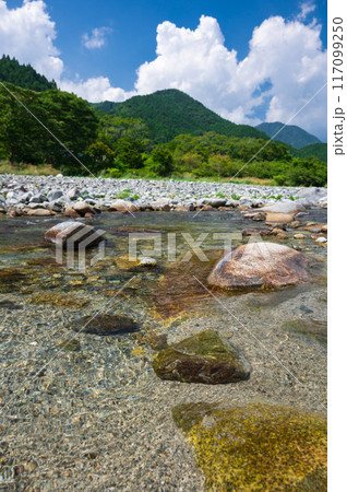 夏の山景色　日本の清流　綺麗な川 117099250