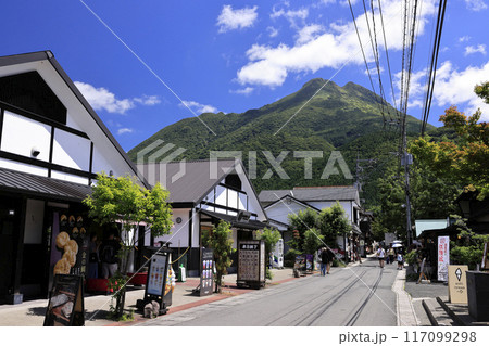 夏の由布院　湯の坪街道 117099298