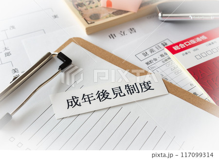 成年後見制度 117099314