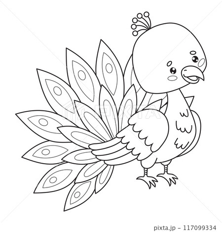 Cute peacock. Outline cartoon kawaii tropical bird character. Line drawing, coloring book. Vector illustration. Kids collection Cute peacock. Outline cartoon kawaii tropical bird character. Line drawing, coloring book. Vector illustration. Kids collection 117099334