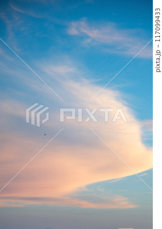 夕暮れの空 夕暮れの空 117099433