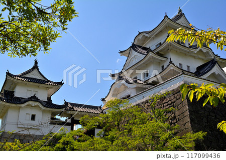 日本100名城・伊賀上野城 日本100名城・伊賀上野城 117099436