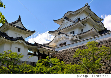 日本100名城・伊賀上野城 日本100名城・伊賀上野城 117099437