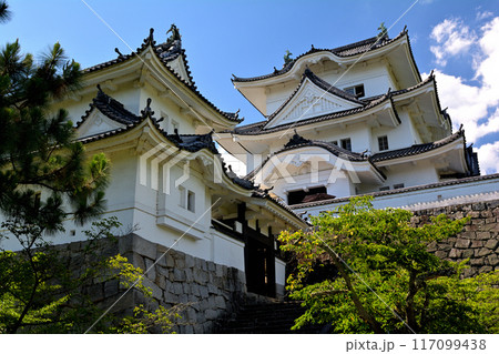 日本100名城・伊賀上野城 日本100名城・伊賀上野城 117099438