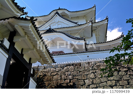 日本100名城・伊賀上野城 日本100名城・伊賀上野城 117099439