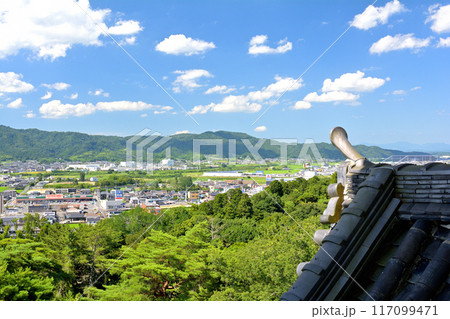 日本100名城・伊賀上野城 117099471