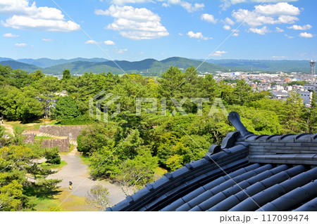 日本100名城・伊賀上野城 117099474