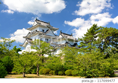 日本100名城・伊賀上野城 117099477