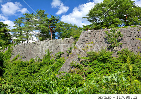 日本100名城・伊賀上野城 117099512