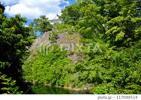 日本100名城・伊賀上野城 日本100名城・伊賀上野城 117099514