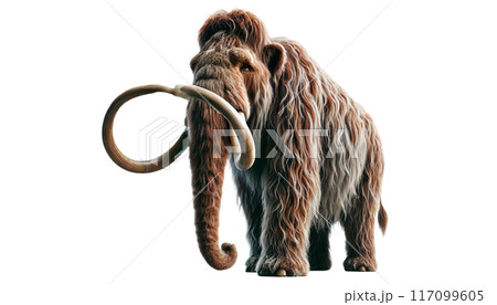 マンモス マンモス 117099605