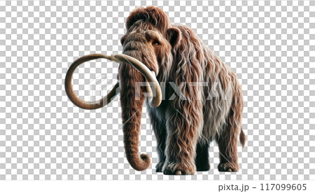 マンモス マンモス 117099605