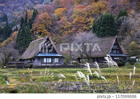 秋の五箇山 秋の五箇山 117099886