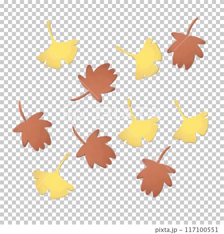 落ちたイチョウと紅葉 117100551