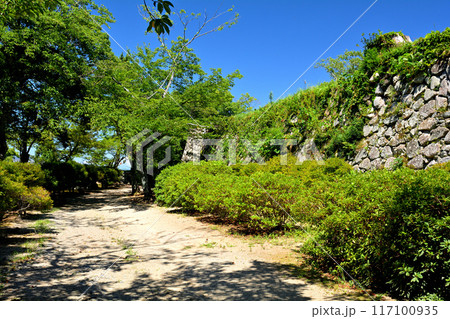 日本100名城・松坂城 117100935