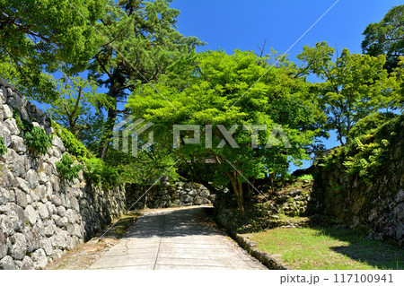 日本100名城・松坂城 117100941