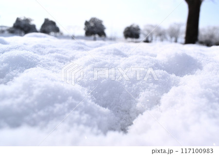 積もったふわふわの雪 117100983