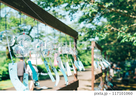 爽やかな緑と青空の夏日、たくさんの風鈴(涸沼自然公園) 爽やかな緑と青空の夏日、たくさんの風鈴(涸沼自然公園) 117101060