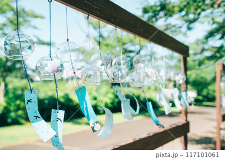 爽やかな緑と青空の夏日、たくさんの風鈴(涸沼自然公園) 爽やかな緑と青空の夏日、たくさんの風鈴(涸沼自然公園) 117101061