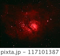 干潟星雲 117101387