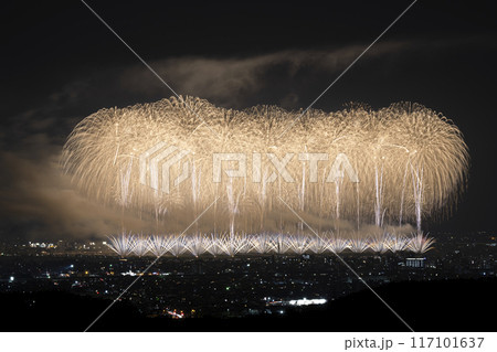 長岡まつり大花火大会 フェニックス 長岡まつり大花火大会 フェニックス 117101637