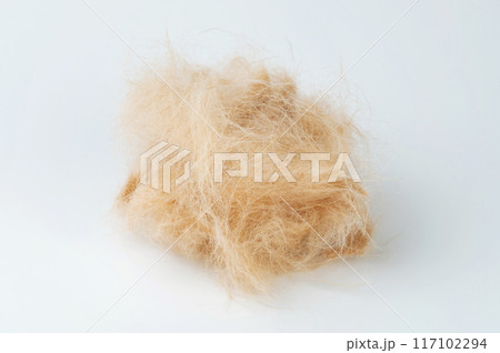 Brown labrador hair ball Brown labrador hair ball 117102294