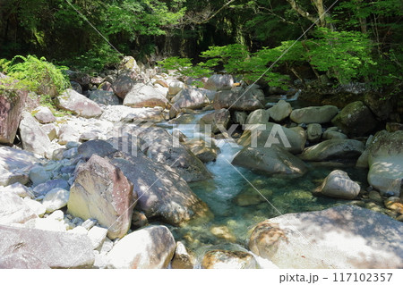 夏の清流 夏の清流 117102357