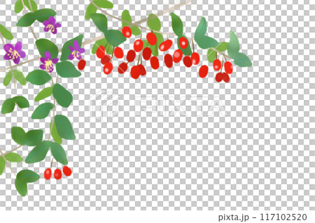 Goji berry card 1 117102520