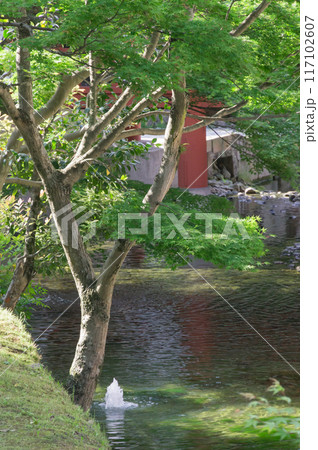 寺院内の日本庭園、京都市伏見区 117102607