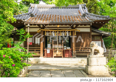 大阪市天王寺区逢阪（真田幸村終焉の地）　安居神社（安居天満宮）拝殿 117102904