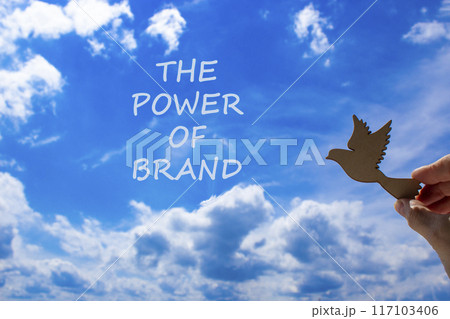 The power of brand symbol. Concept words The power of brand. Beautiful blue sky cloud background. Voter hand with wooden bird. Business the power of brand concept. Copy space. The power of brand symbol. Concept words The power of brand. Beautiful blue sky cloud background. Voter hand with wooden bird. Business the power of brand concept. Copy space. 117103406