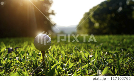 Golf ball on tee in a beautiful golf course with morning sunshine. Golf ball on tee in a beautiful golf course with morning sunshine. 117103766