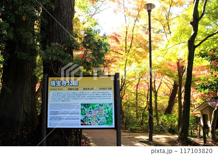 瑞宝寺公園紅葉 117103820