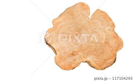 Cut-out image of a cross-section of a log on a white background with clipping paths. Cut-out image of a cross-section of a log on a white background with clipping paths. 117104293