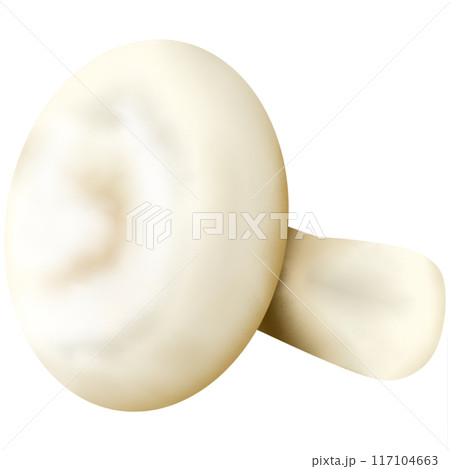 Widely consumed mushrooms in the world 117104663