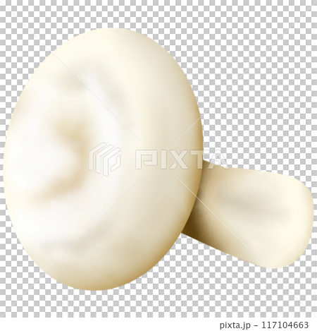 Widely consumed mushrooms in the world 117104663