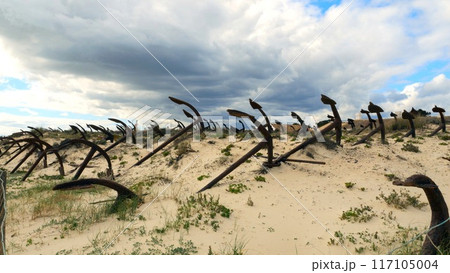 Rusty old anchors on the beach at an anchor cemetery graveyard at Praia do Barril beach, in Tavira, Algarve, Portugal.  117105004