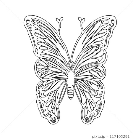 butterfly animal outline illustration sketch butterfly animal outline illustration sketch 117105291